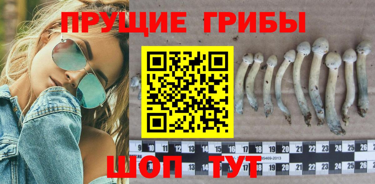 Псилоцибиновые грибы ЛСД  Вход с VPN  Волгодонск 