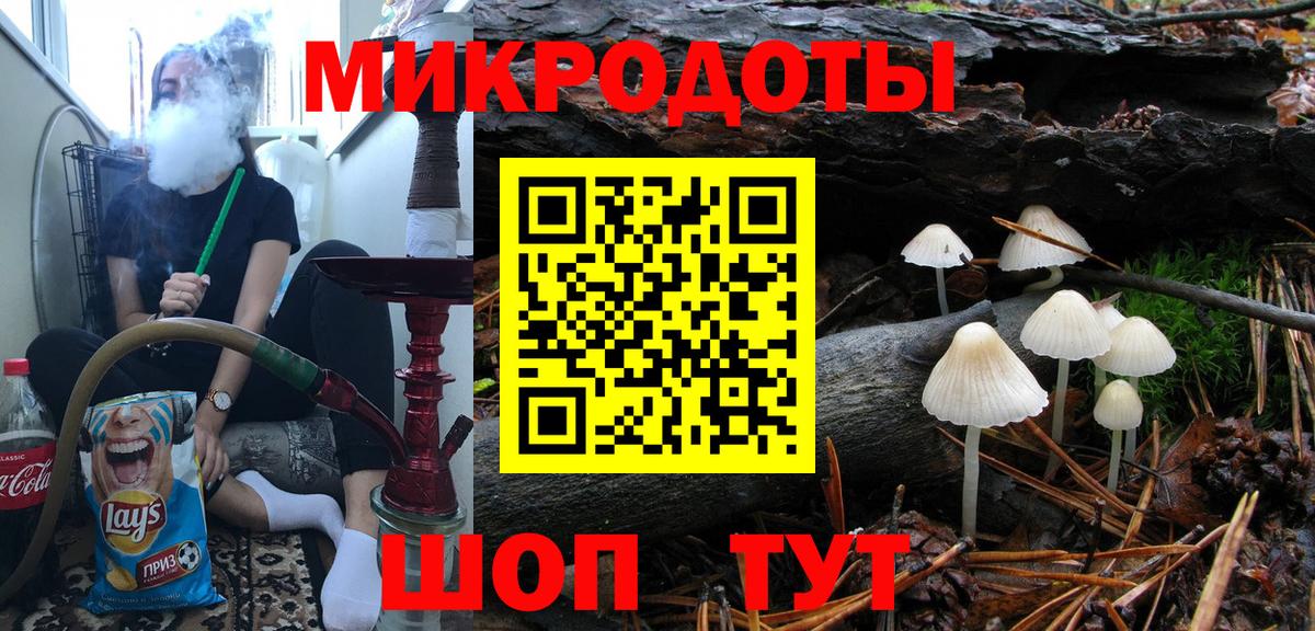 Галлюциногенные грибы Psilocybine cubensis Волгодонск